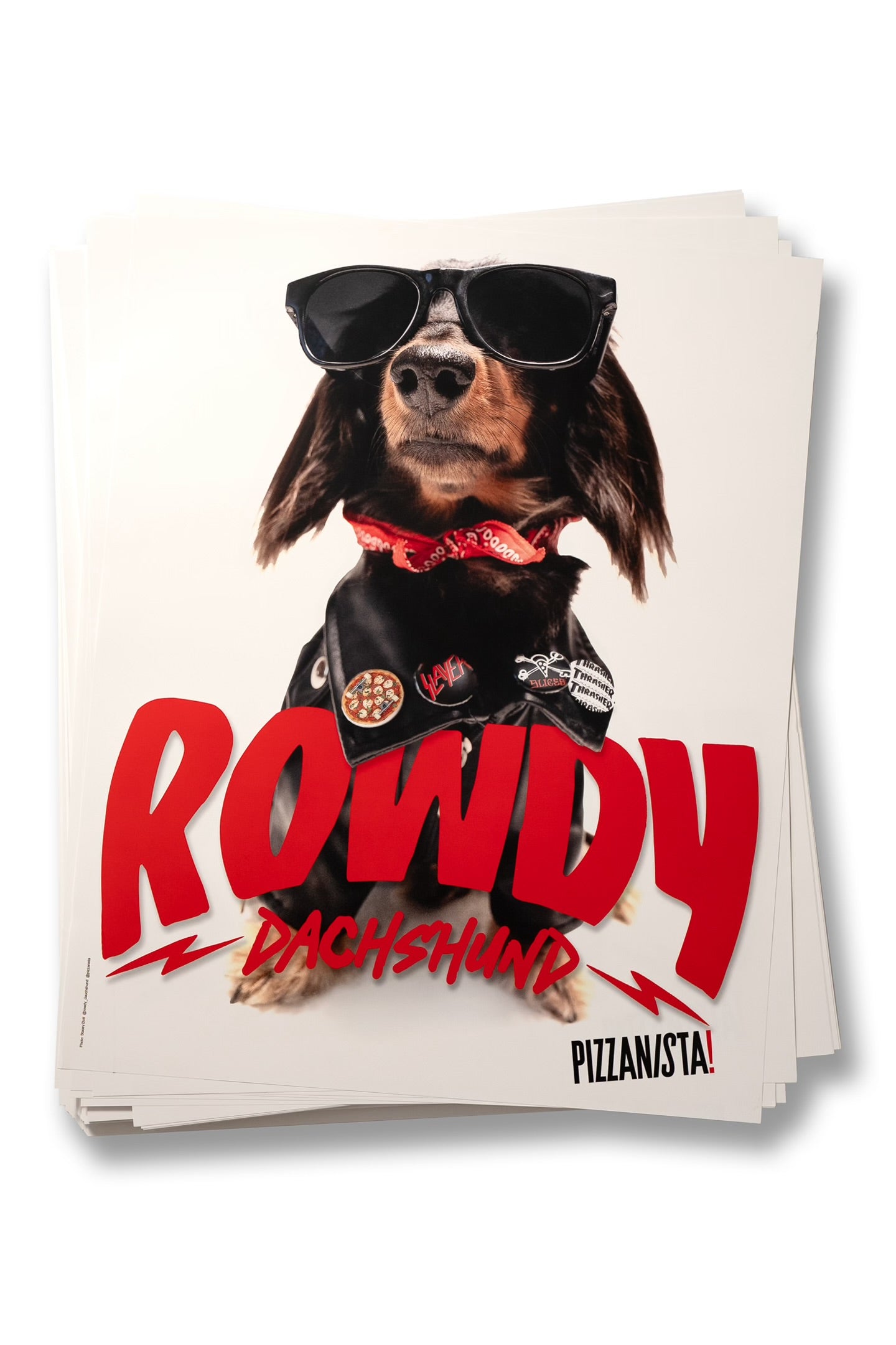 Rowdy Dachshund Pro Debut Poster